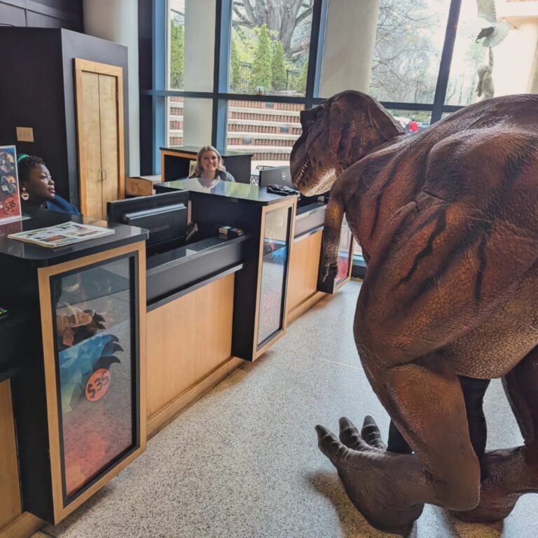 594265651 122147628602805541 2613197751965717617 n