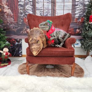 601983359 1861070931436166 200201319256887741 n.jpg