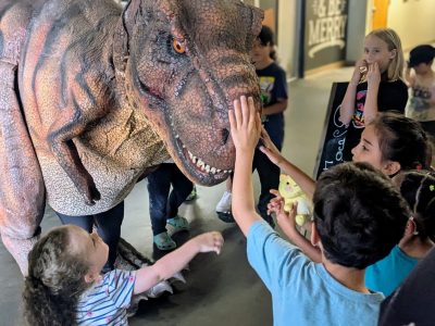 pxl 20250711 230502911.portrait