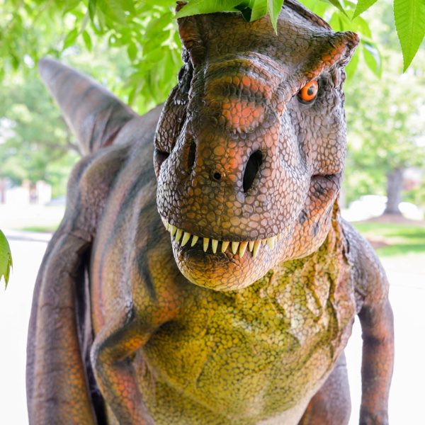 flossie 4527 scaled.jpg flossie 4527 scaled.jpg